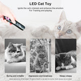 Black LED Cat Catch Interactive Toy (No Battery Include)