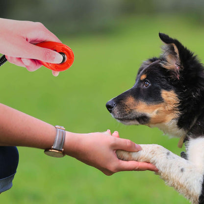 4 Piece Dog Training Clicker with Wrist Strap, Black & Red