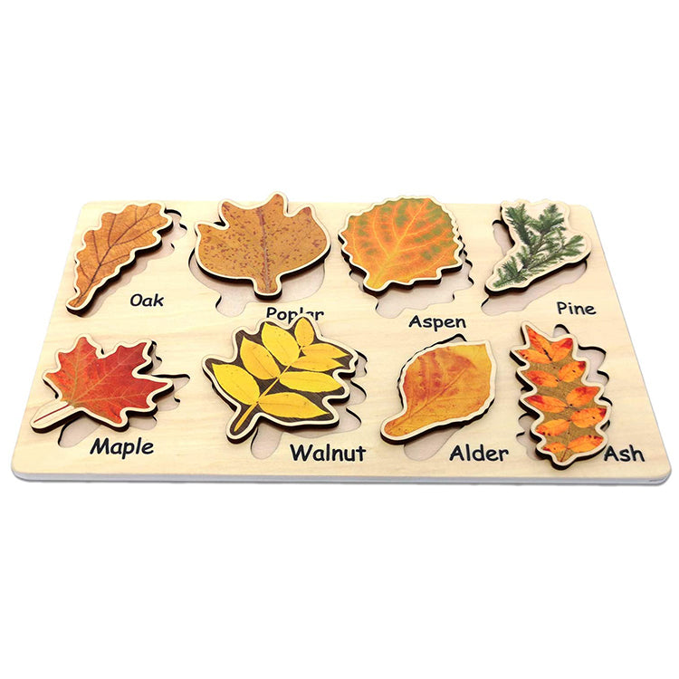 Wooden Leaf Jigsaw Colorful Shape Puzzles Stem Toys