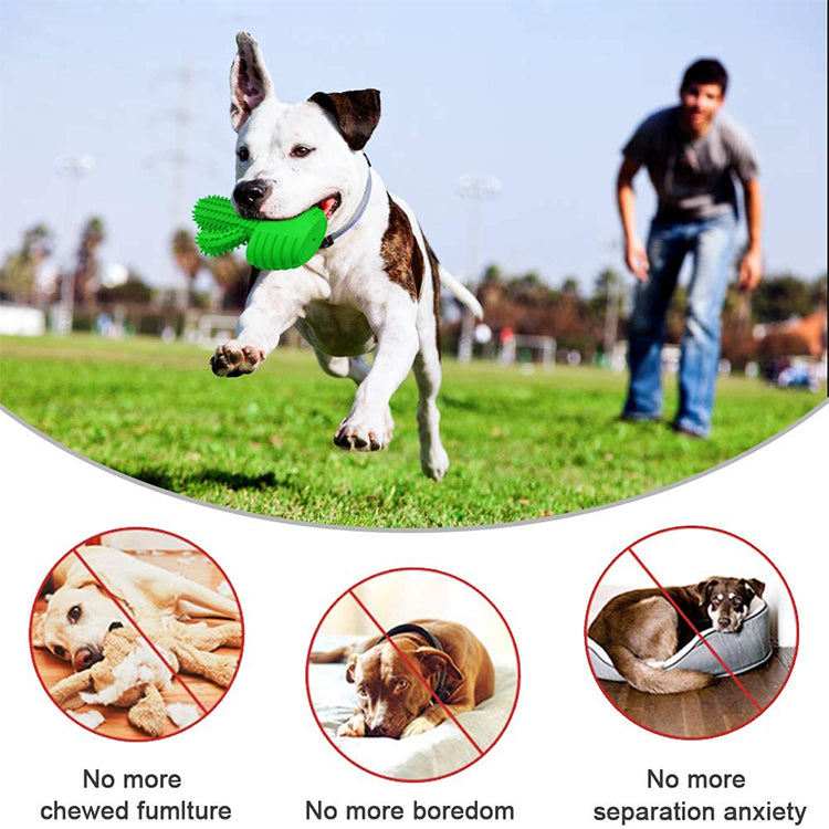 Dog Chew Cactus Toys for Medium Large Dogs