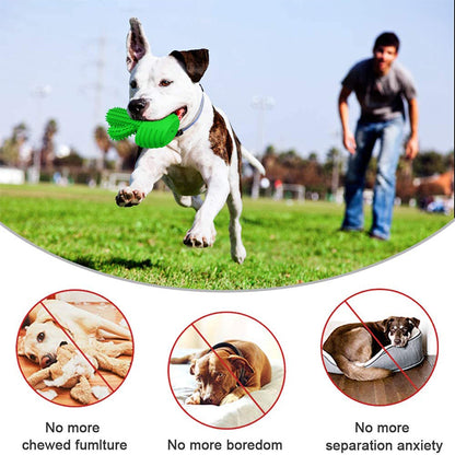 Dog Chew Cactus Toys for Medium Large Dogs