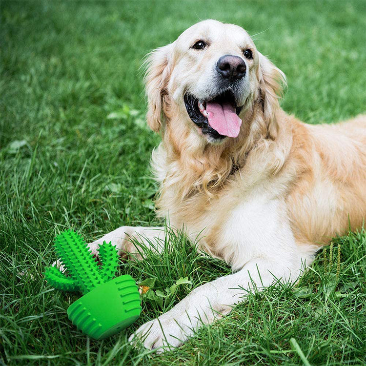 Dog Chew Cactus Toys for Medium Large Dogs