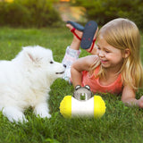 Interactive Swing Bear Tumbler Design Dog Toys